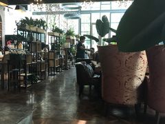 大堂-桉树林A coffee 森林餐厅(三圣乡店)