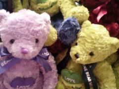 -济州岛泰迪熊博物馆