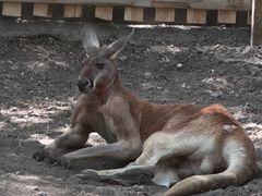 -水上乐园·欢乐世界