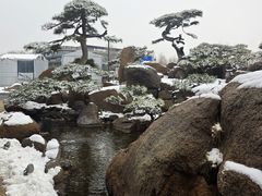 -罗红摄影艺术馆