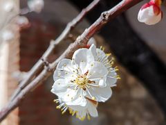 -里口山风景名胜区
