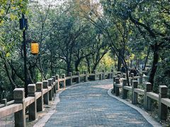 -灵岩山风景区