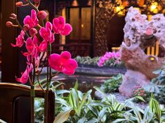 -广州白天鹅宾馆