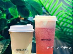 森芝味草莓-SENTEA森茶(麦地丽日店)