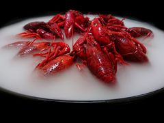 古越冰醉龙虾(小份)-怪怪龙虾·来自江苏盱眙(惊驾路店)