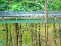 -广州市白云山风景名胜区