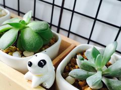 -蜜蜂小象·榴莲千层蛋糕(时代汇11栋店)