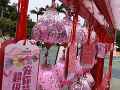 -广州长隆欢乐世界