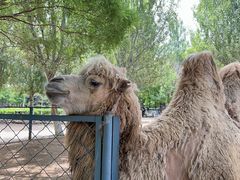 -长白岛森林公园