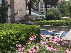 -上海东方佘山翰悦阁酒店·Vie全日制餐厅