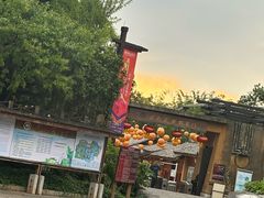 -云南民族村
