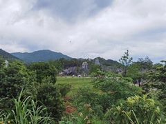 -千岛湖石林