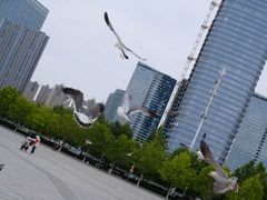 -东港音乐喷泉广场