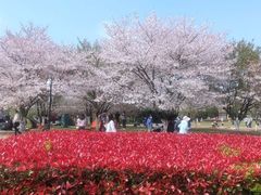 -石湖景区