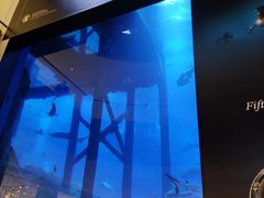 -迪拜水族馆及水下动物园