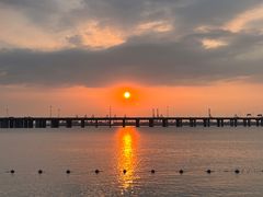 -深圳湾公园(南山区)