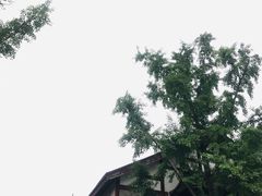 -龙潭水乡