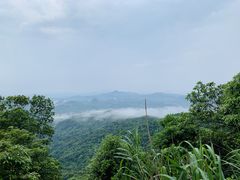 -广州市帽峰山景区