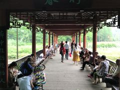 -重庆彩云湖湿地公园
