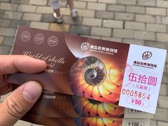 -青岛贝壳博物馆