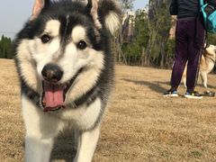 -顾村公园3号门停车场