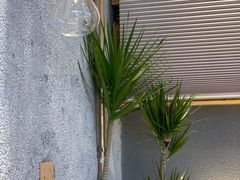 -MQ COFFEE STAND明谦(新洲店)
