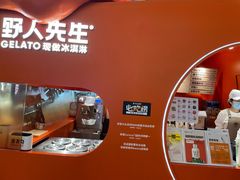 -野人先生现做冰淇淋(北京王府井东方新天地店)