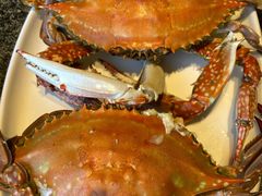 梭子蟹-渔民船说·北塘海鲜·天津菜·海肠捞饭(北塘古镇店)