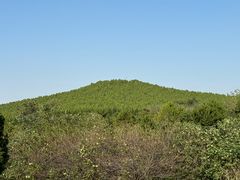 -秦始皇帝陵博物院-丽山园