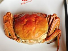 大闸蟹公蟹-七的湖·江南蟹舫·阳澄湖农家菜(蟹舫苑店)