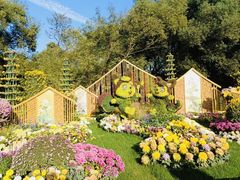 -上海共青森林公园