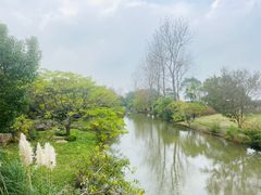 -上海滨江森林公园