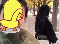 -三里屯东五街银杏大道