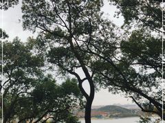 -上海月湖雕塑公园