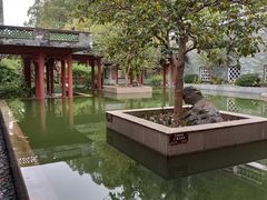 -广州神农草堂中医药博物馆