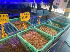 -湘满甲·黄焖甲鱼创始者·湘菜·鲁菜(潘家园店)