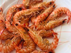 基围虾-渔民船说·北塘海鲜·天津菜·海肠捞饭(北塘古镇店)
