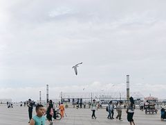 -东港音乐喷泉广场