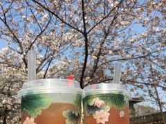 -鸡鸣赐茶(鸡鸣寺路店)