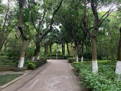 -燕晗山郊野公园