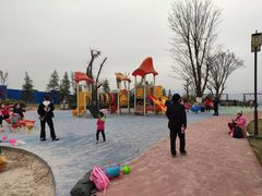 -铁山坪森林公园