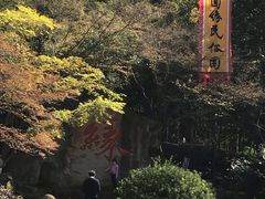 -杭州黄龙洞