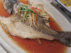 -清真马祥兴菜馆(云南北路店)