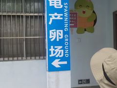 -广东惠东海龟国家级自然保护区