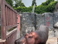 -贵州森林野生动物园