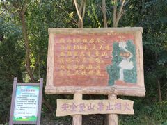 -金龙寺国家森林公园
