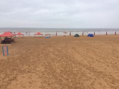 日照海滨国家森林公园-日照海滨国家森林公园