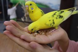 -未来动物城主题公园(正弘城店)