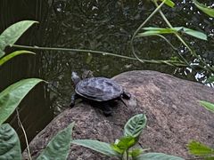 -苏州河梦清园环保主题公园