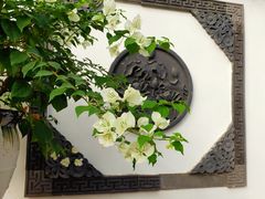 -石家庄市植物园